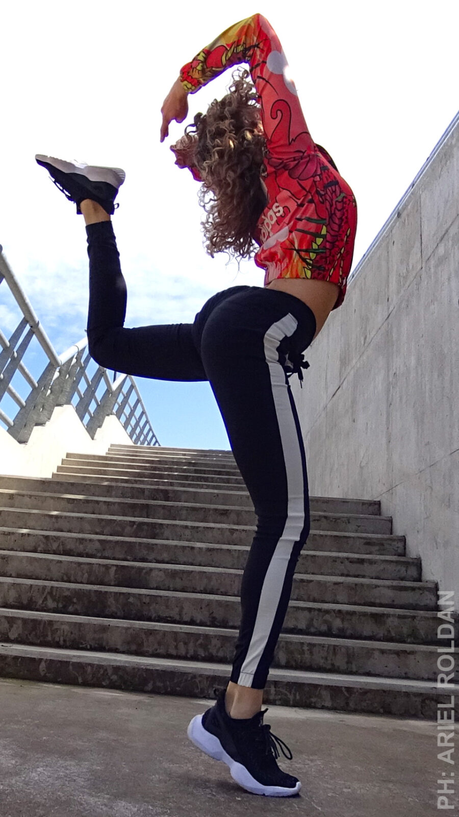 Mora en Terraza Casa